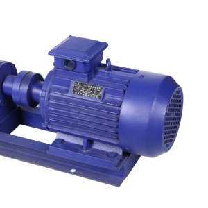 Bomba de transferencia de lodos de acero inoxidable de 1 pulgada para alimentos, tipo tornillo G20-2, para importación y exportación - Product Image 5