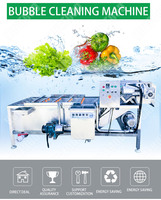 Laveuse et Sécheuse Industrielle Haute Efficacité pour Fruits et Légumes (Pommes, Raisins, Carottes) avec Ozone - Prix