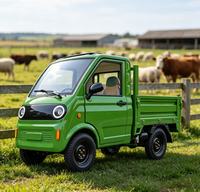 Camion de fret électrique à énergie nouvelle à cabine fermée, 4 roues, 3500 W, certifié EEC COC, pour la livraison de marchandises commerciales