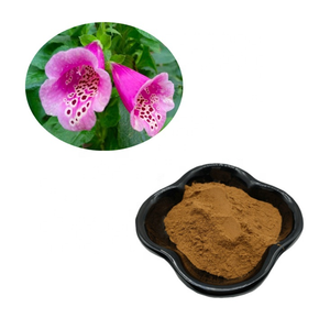 サラセニアエキス粉末中国供給無料サンプル植物エキス - Product Image 2