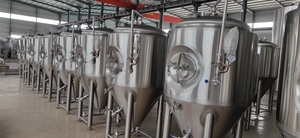 Equipo de Cervecería Artesanal Tonsen 500L 5HL, Kit de Elaboración de Cerveza, Microcervecería Completa Llave en Mano en Venta - Product Image 6