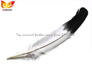 ZPDECOR <span class=keywords><strong>Piume</strong></span> d'Aquila Arrotondate d'Ala <span class=keywords><strong>di</strong></span> Tacchino <span class=keywords><strong>Bianche</strong></span> con Punta Nera all'Ingrosso dalla Fabbrica per Abiti da Festa a Tema Carnevale - Product Image 5