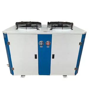 Unité de condensation de décharge supérieure de Type boîte de haute qualité refroidisseur compresseurs de chambre froide unité de condensation pour le stockage à froid