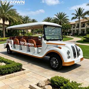 Auto Turístico Eléctrico Convertible de Lujo, Silencioso, para Atracciones Turísticas y Resorts de Playa - Product Image 1