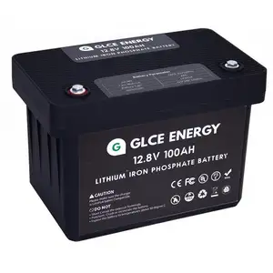 Batterie rechargeable de phosphate de fer de lithium de 12V 100Ah avec l'indicateur de BMS et de LED