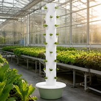 Système de culture hydroponique vertical à 9 étages, certifié CE, pour l'intérieur et l'extérieur, pour la culture de légumes