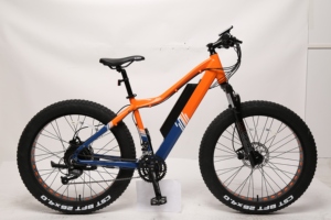 TXED 250W moteur de moyeu arrière cadre en alliage de haute qualité vélo électrique de montagne 36V batterie au Lithium dérailleur Tube puissant - Product Image 2