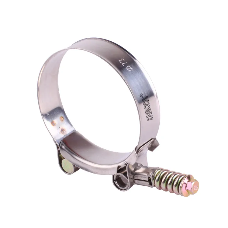 stainless steel heavy duty spring T bolt hose clamp for car