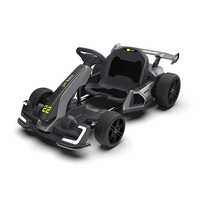 Kartings Électriques de Course 300W, Double Commande, Grande Puissance, Karts à Pédales Électriques pour Drift, Enfants et Adultes, Batterie 24V 5Ah