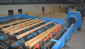 Línea de Procesamiento de Madera Sentao, Transportador de Cadena Bibo Sentao, Máquina de Producción de Carpintería Eficiente - Product Image 5