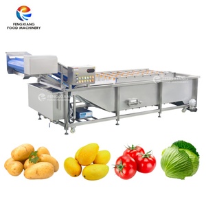 Machine à laver industrielle à bulles d'air pour légumes et fruits WA-U-3000, machine à laver les mangues - Product Image 2
