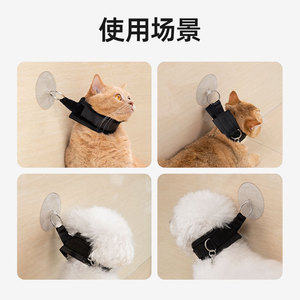 Collier de contention pour chat Chomi avec ventouse pour un lavage et un toilettage faciles - Product Image 4