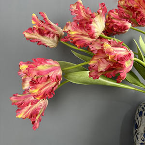 بالجملة زهور التوليب الاصطناعية التي تعمل باللمس الحقيقي آليس القزحية هدايا الزهور ليوم عيد الحب - Product Image 5