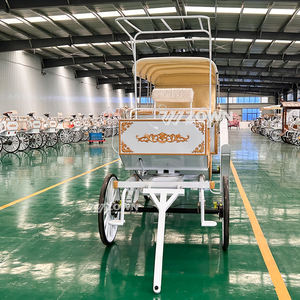 OEM Electric Sightseeing Carriage Hochzeit Pferde kutsche Royal Bridal Dutch Horse Drawn Wagon Carts - Product Image 5