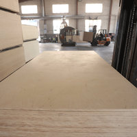 Contreplaqué de bouleau sur mesure 1220x2440mm, surface lisse, contreplaqué de bouleau stratifié pour la construction