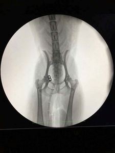 آلة تنظير الذراع PFD C لجراحة الأشعة مع نظام ذراع رقمي C جهاز أشعة <span class=keywords><strong>X</strong></span> - Product Image 3