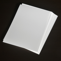 Panneau en PP blanc de qualité optique avec réflexion stable anti-reflets pour couverture de fond de scanner, copieur, imprimante