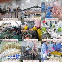 Sepatu Kerja PVC Tahan Air Anti Selip Tahan Minyak Tahan Asam Alkali Cocok untuk Pabrik Makanan Dapur Rumah Potong Hewan