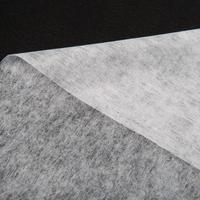 Chine fabrication 100 polyester non tissé entoilage thermocollant spunbond tissu non tissé
