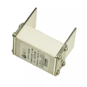 Suitable for a variety of indoor high-quality materials 700V-800V/32A-400A high-voltage current-limiting fuse