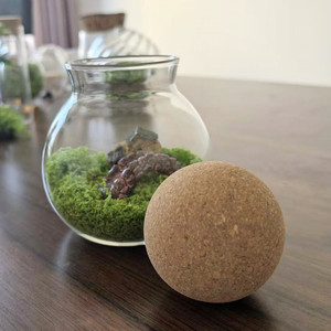 Terrarium en verre écologique 10*13cm avec couvercle en liège et boule en bois pour <span class=keywords><strong>jardin</strong></span> de bureau, plantes en mousse, <span class=keywords><strong>mini</strong></span> paysage intérieur - Product Image 4