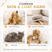 Vente en gros de 180 comprimés à mâcher Omega 3 6 9 pour animaux de compagnie, supplément d'huile de saumon EPA DHA pour chiens et chats, pour un pelage brillant et un bien-être cutané