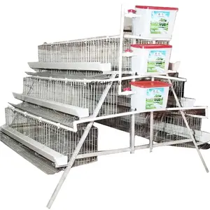 Factory Cheap Price Transport For Breadinng Cages Auto Cleaning Chicken Breeding Cage