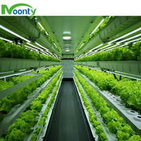 Serres agricoles Système hydroponique Conteneur Fermes verticales Agriculture Système hydroponique NFT pour laitue/Verts