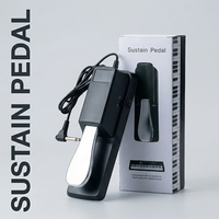 Musical Instrument Accessory Digital Piano Electronic Keyboard Synthesizer Professional Classic Metal Sustain Pedal Model YYB-01