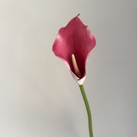 Vente en gros de grandes fleurs artificielles en EVA, Calla Lily, fleurs au toucher réel, bouquet de Calla Lily pour la décoration de la maison