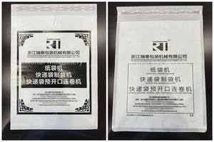 Machine à fabriquer des sacs en papier kraft mini entièrement automatique Ruitai avec un bon <span class=keywords><strong>prix</strong></span> - Product Image 5