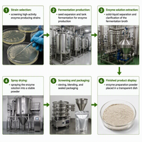 Enzyme protéase acide à faible pH, poudre de protéase acide fongique pour la hydrolyse des protéines, la fabrication de la sauce soja, qualité alimentaire et pour l'alimentation animale