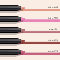 Emballage de gros avec logo personnalisé Rouge à lèvres brun crémeux végan mat imperméable à l'eau Crayon vendeur Crayon à lèvres