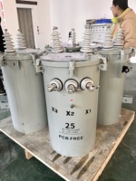 Transformateur de tension triphasé monté sur poteau pour les États-Unis, modèle D11, 7620V 120V 240V 10kVA 20kVA 37.5kVA 50kVA 50Hz/60Hz