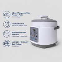 Mini autocuiseur électrique 3L 700W, multicuiseur 10-en-1, cuiseur à induction en acier inoxydable 304, cuiseur à riz compact CE