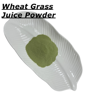 Yhealth, частная этикетка, 100% чистый водорастворимый суперпродукт, порошок пшеничной травы, оптовая продажа, натуральный порошок зеленого сока пшеницы - Product Image 6