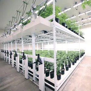 Hydroponic Mobile Grow Rack ระบบปลูกพืชสวนแนวตั้งพร้อมชั้นปรับได้สำหรับระบบปลูกในร่ม