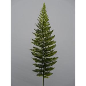 ใบเฟิร์น 64 ซม. GR - Product Image 1