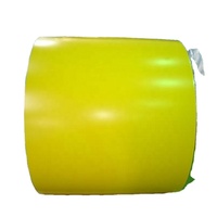 Bobine PPGI avec revêtement en poudre anti-rayures pour la production de toitures métalliques