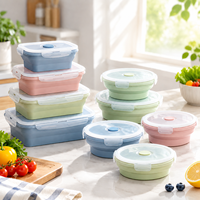 Ensemble de boîtes à lunch pliables en silicone de qualité alimentaire, compatibles micro-ondes, étanches, réutilisables, pour la préparation des repas, sans BPA, personnalisables