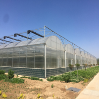 YGreenhouse Agriculture Serre Verte Tomate Hydroponique Film Plastique Couvert Serre