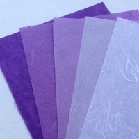 Papier d'emballage en vrac biodégradable coloré pour vêtements, papier cadeau kraft personnalisé, papier de soie imprimé holographique en gros