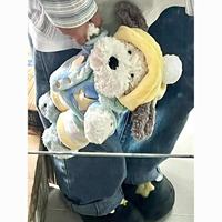 Peluche personnalisée pour chien avec chapeau, tenue bleue et détails de pattes – Cadeau animalier OEM/ODM pour enfants – Importateurs de vente en ligne