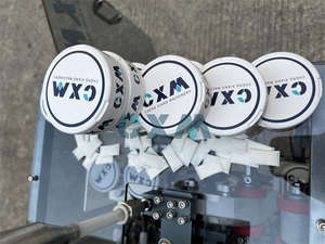 Machine d'emballage automatique de poudre de Snus pour l'emballage de sachet de Snus - Product Image 3