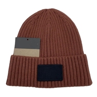 Chapeaux d'hiver unisexes avec broderie 3D et logo personnalisé, chapeaux tricotés chauds à rayures verticales épaissies, résistants au froid, chapeau d'hiver tendance