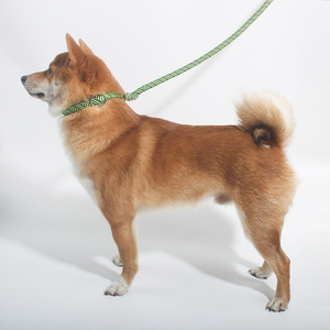 สายจูงสุนัขขนาดใหญ่5เมตรสายจูงสัตว์เลี้ยงทำจากไนลอนพร้อมเชือกจับผ้าพันคอตกแต่งสำหรับสุนัขเดินดร็อปชิปหนึ่งชิ้น - Product Image 3