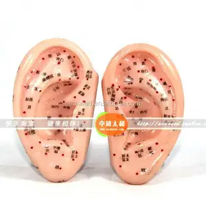 דיקור אוזן מודל רפואה הסינית דיקור דגם