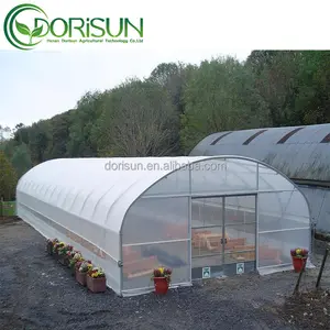 Tunnel Greenhouse For Strawberry Greenhouse Activated Carbon Filter Greenhouse Single Span