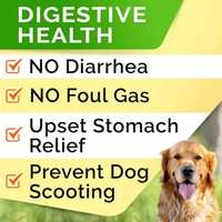 Poudre de Probiotiques pour Chiens – Haute Teneur en Protéines – Toutes Races – Compléments Santé – Marque Blanche – Formule Spéciale pour Soutenir la Santé