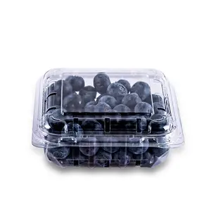 厂家125克宠物蓝莓翻盖一次性泡罩包装透明塑料水果蓝莓包装盒